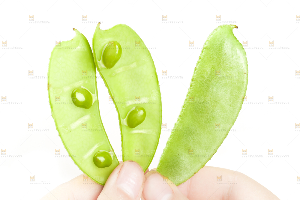手里拿着扁豆角