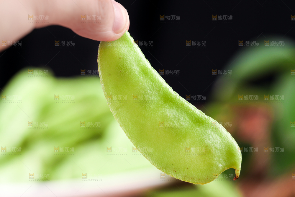 手里拿着扁豆角