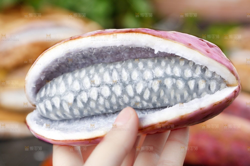 手里拿着八月炸