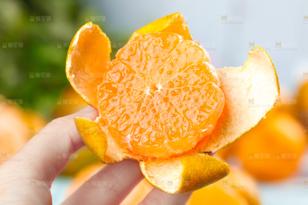 木底上摆放着蜜橘