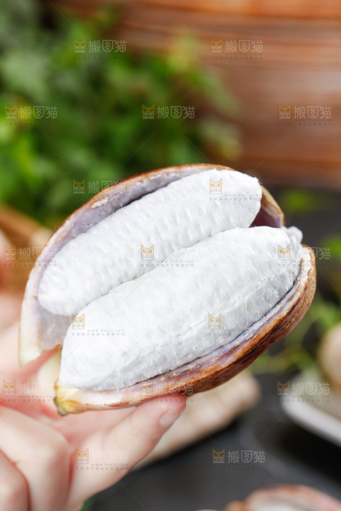 手里拿着紫皮八月瓜