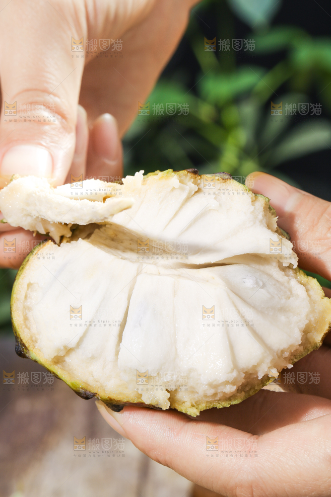手里拿着释迦果