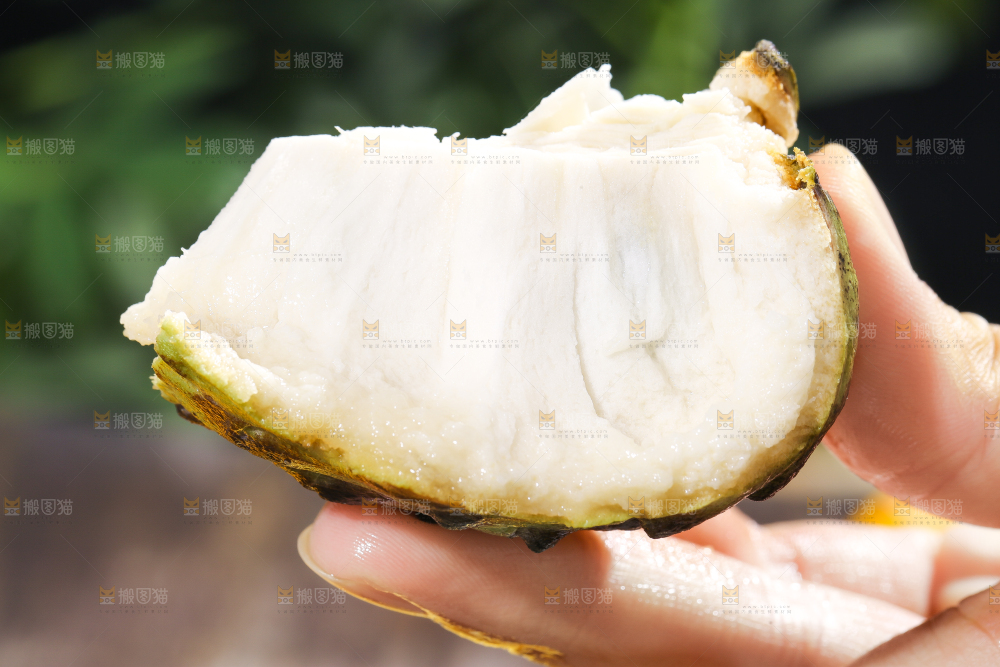 手里拿着释迦果
