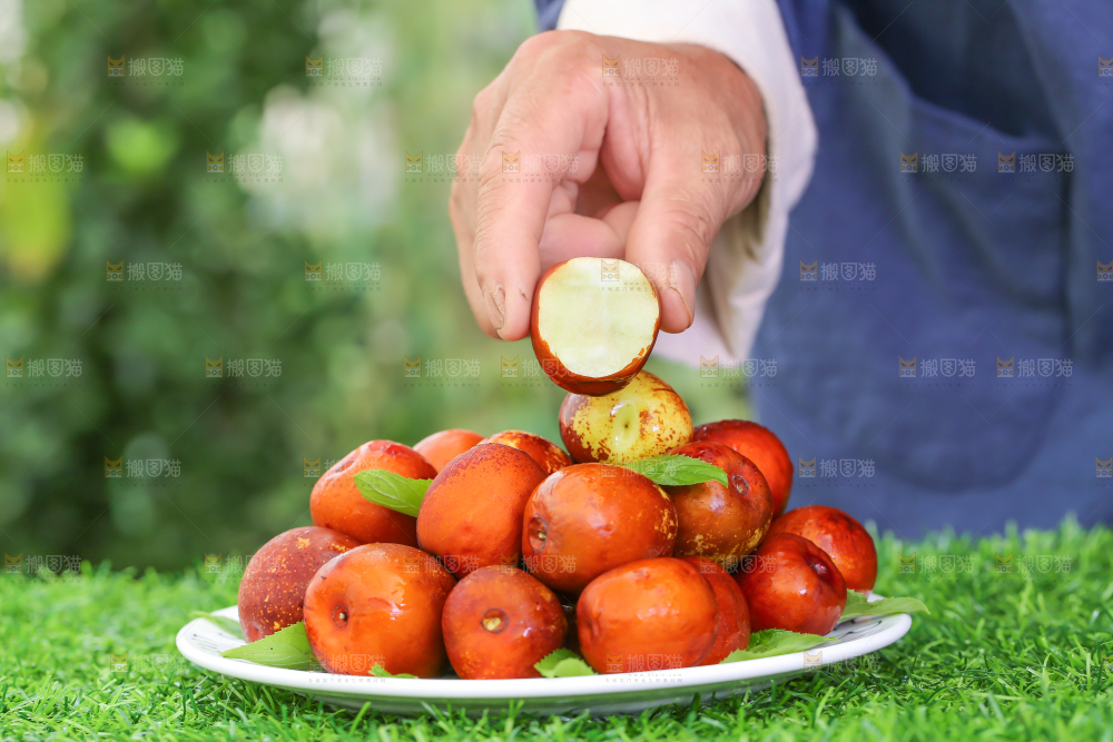 草地上手里拿着冬枣