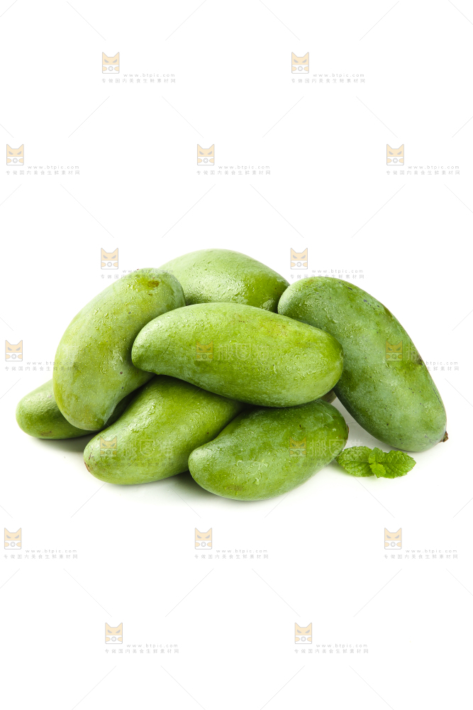 白底上的桂七芒