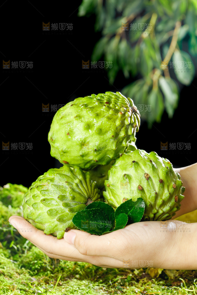 手里拿着牛奶释迦果