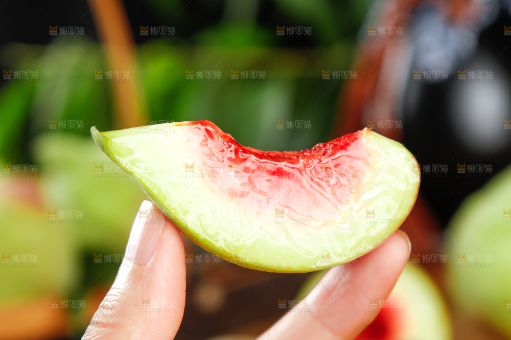 手拿鹰嘴桃