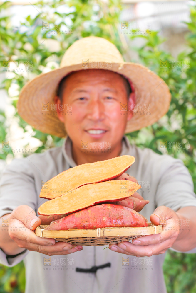 农民手里端着一盘红心红薯