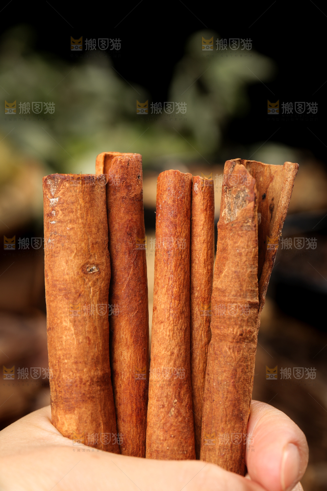 手里拿着桂皮