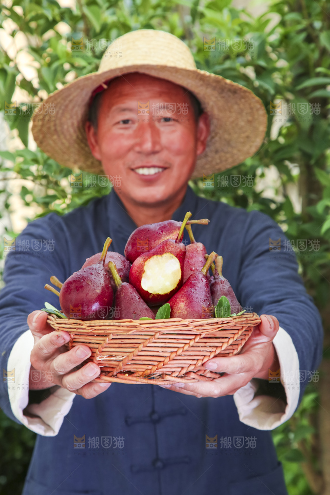 农民手拿一筐红啤梨