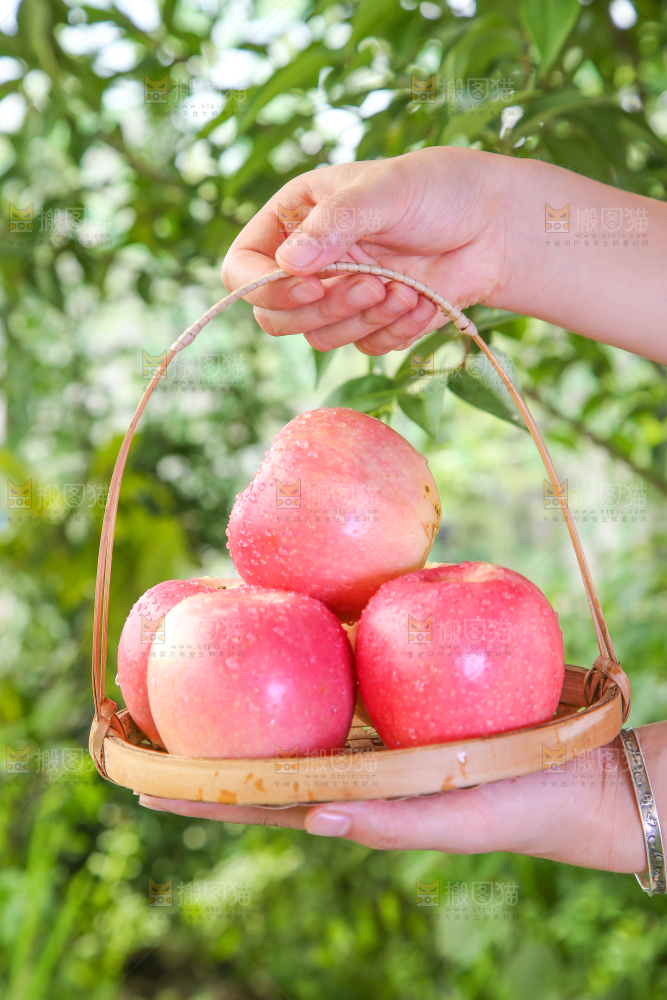 手拿一篮嘎啦苹果