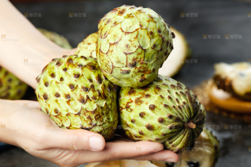 手里拿着牛奶释迦果