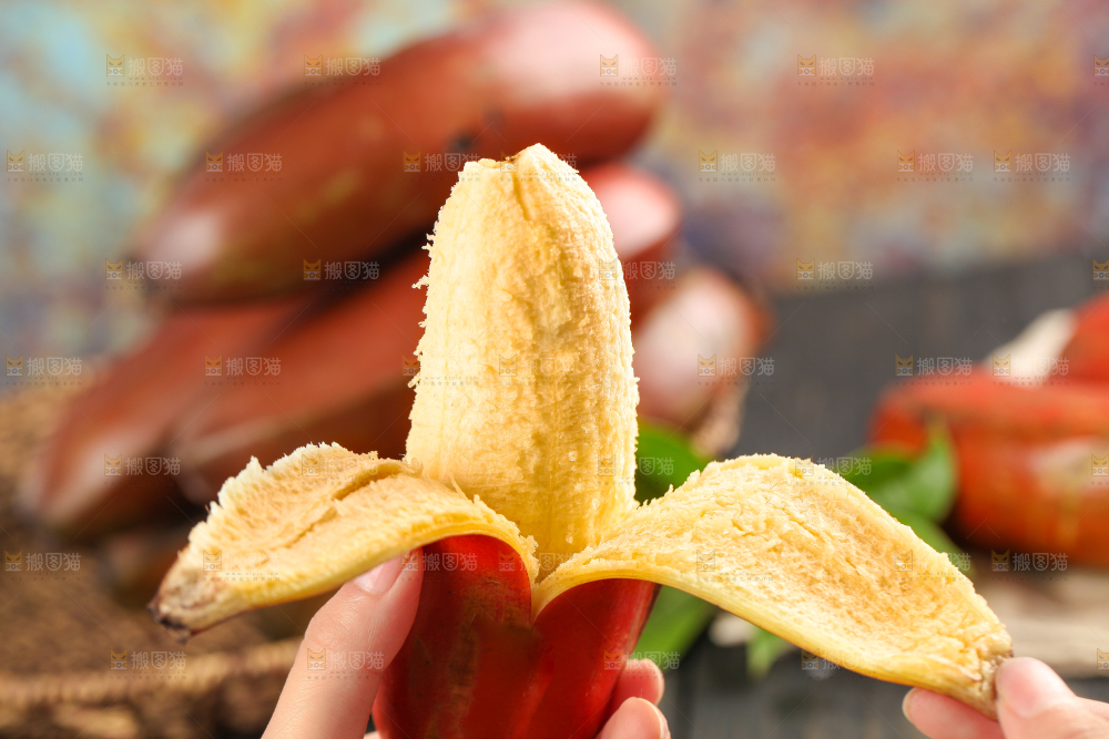 木底手拿剥皮的红皮香蕉