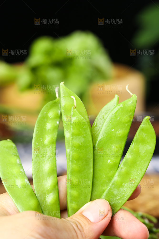 手里拿着荷兰豆