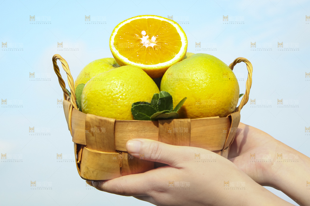 手拿一筐秭归夏橙