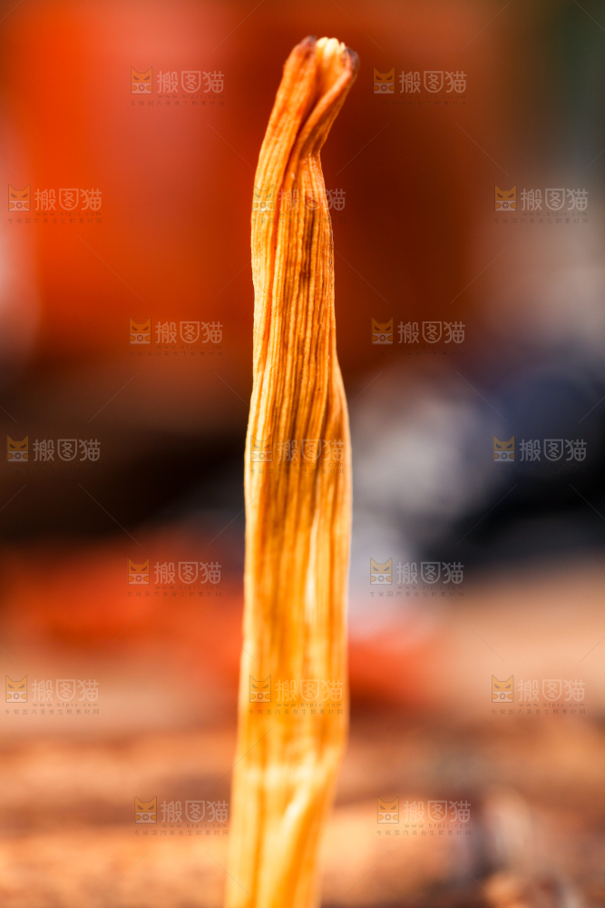 木底上的黄花菜