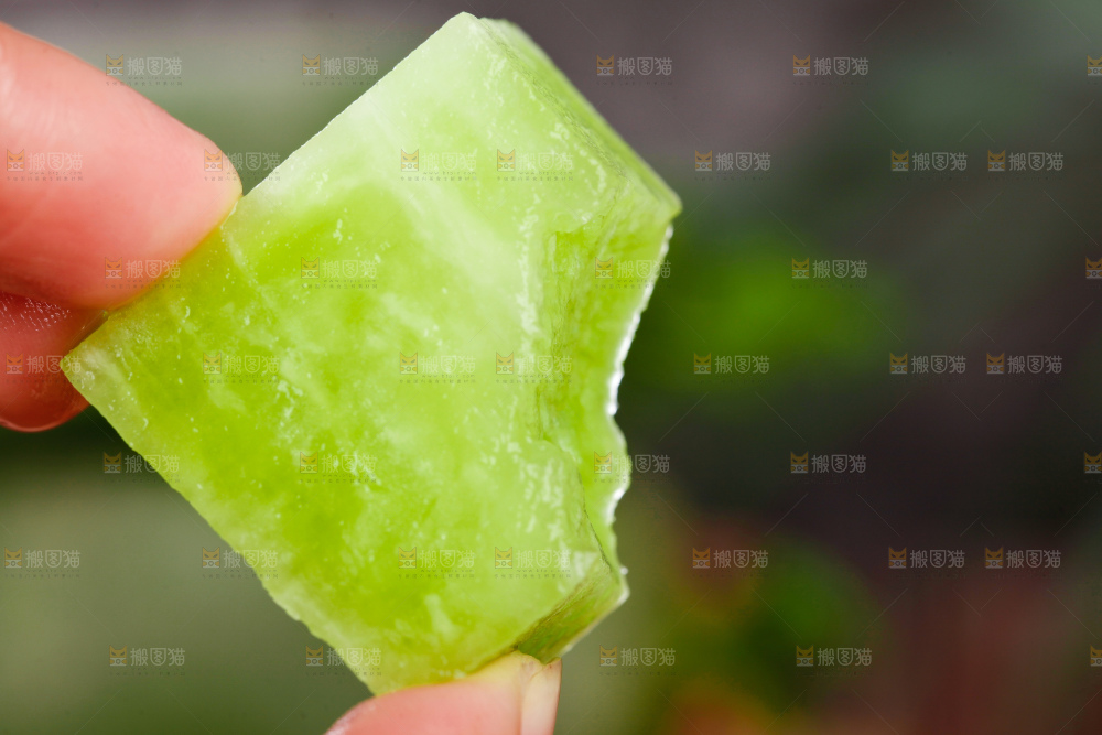 手里拿着青萝卜