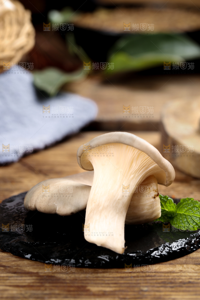 黑底上摆放着平菇
