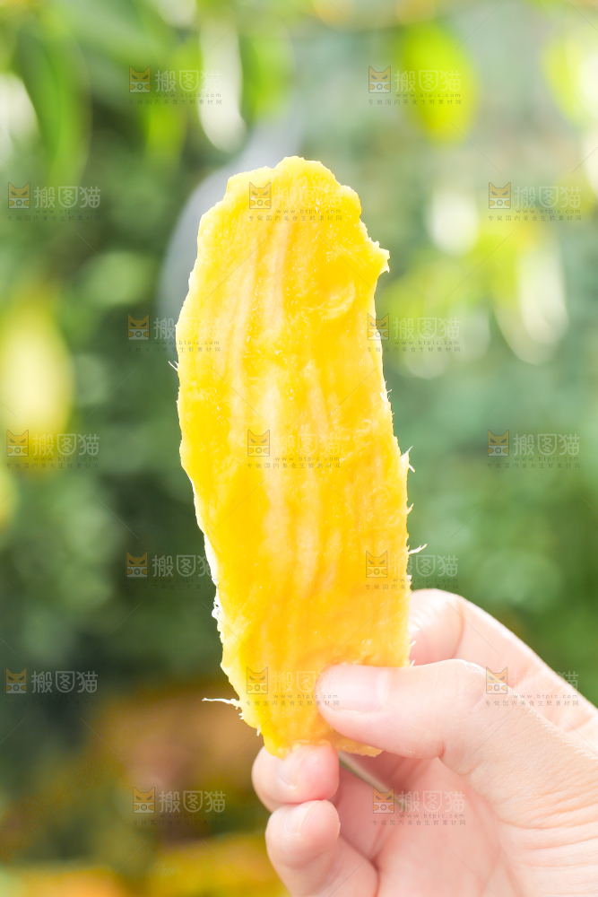手拿桂七芒果核