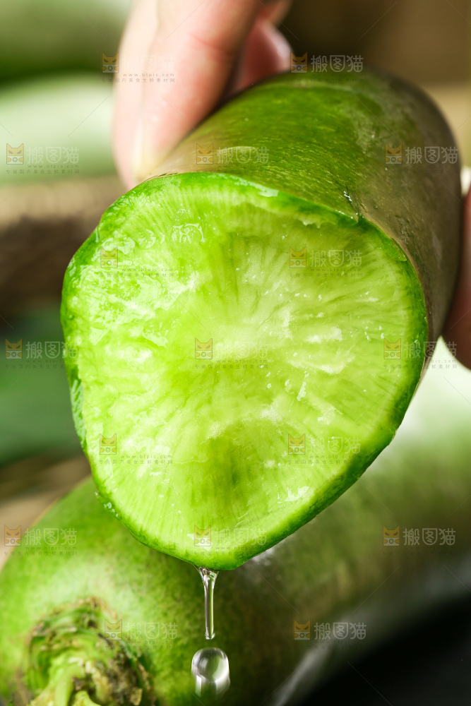 手里拿着绿心萝卜