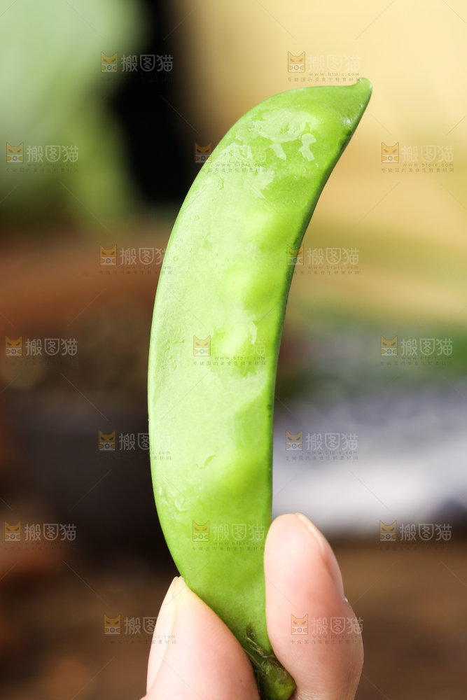 手里拿着荷兰豆