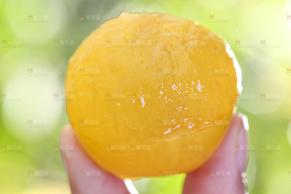 手拿剥皮的九峰山黄金奈李