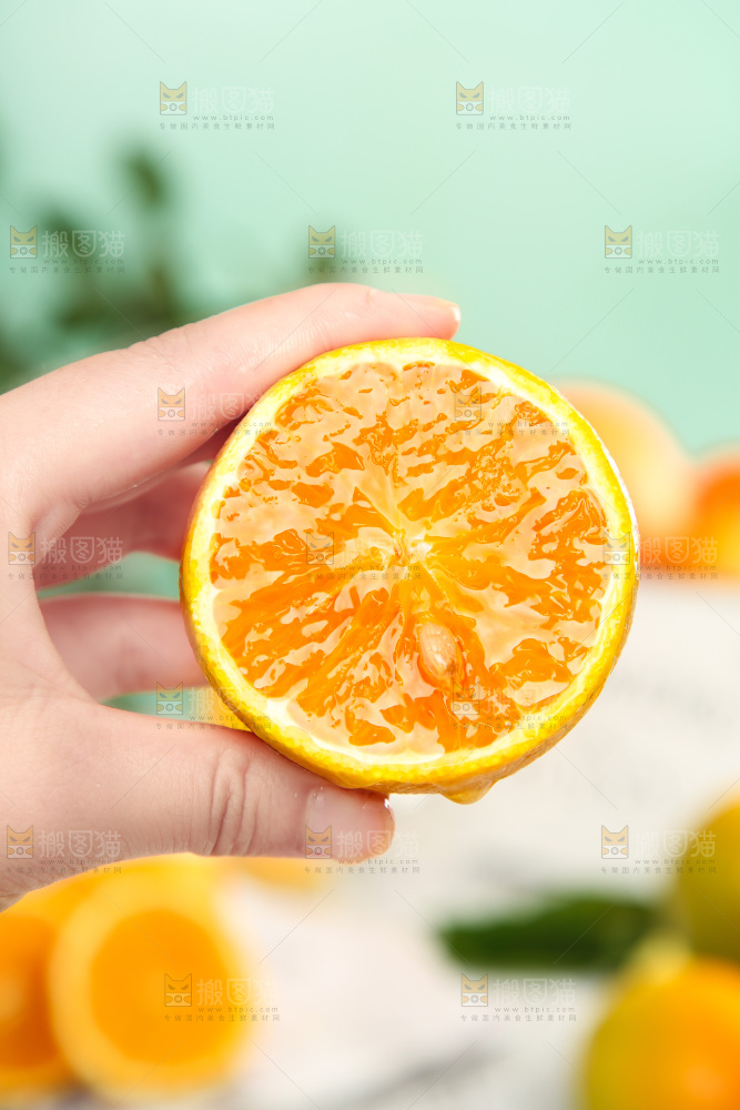 秭归夏橙