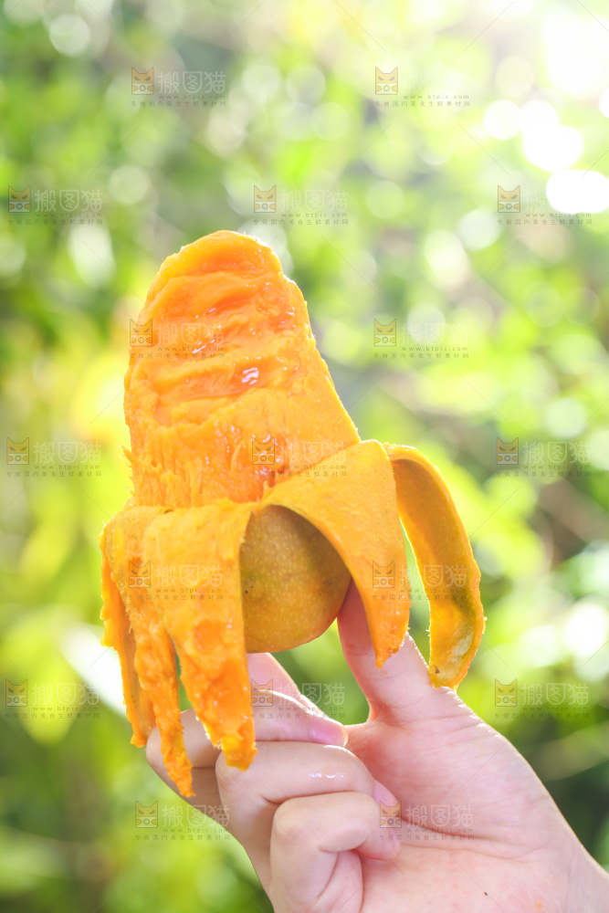 手拿剥皮的椰香芒
