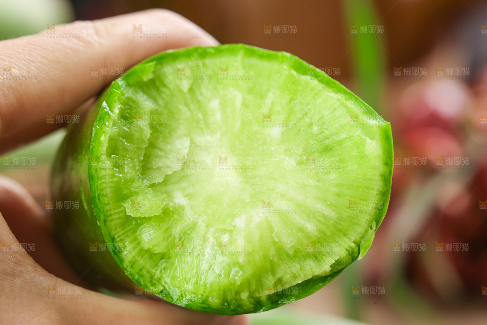 手里拿着青萝卜