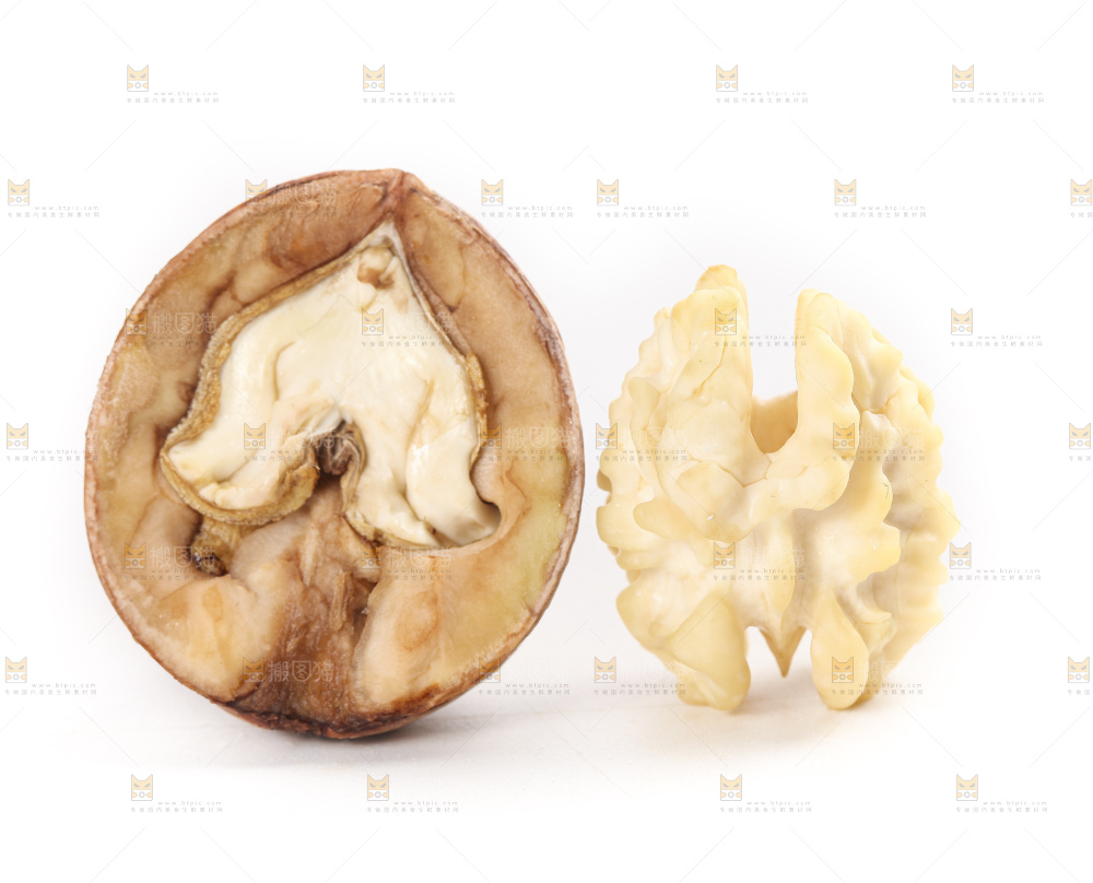 白底上的新鲜湿核桃