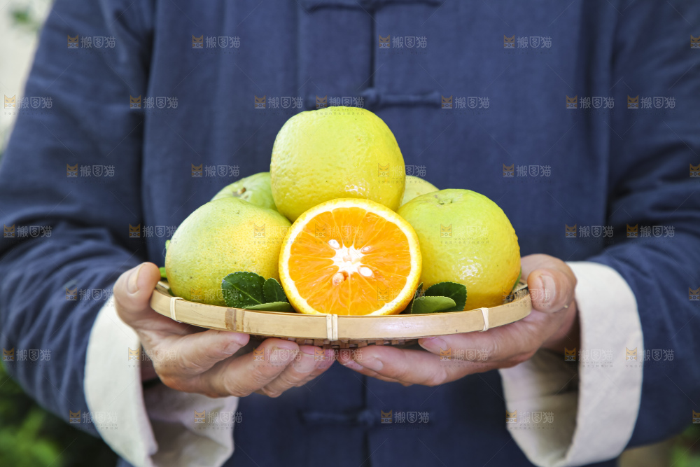上手拿一筐夏橙