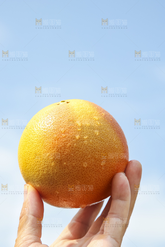 手拿着南非红心葡萄柚