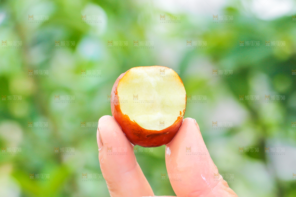 手里拿着冬枣