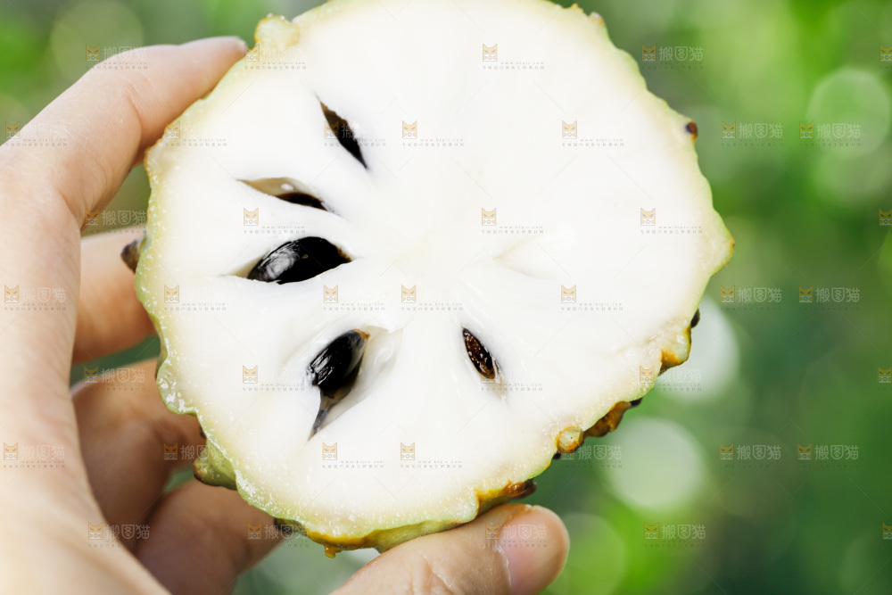手里拿着释迦果