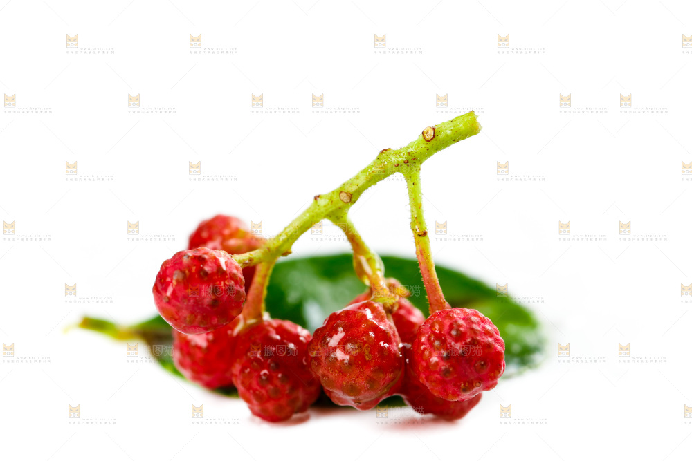 叶子上的花椒