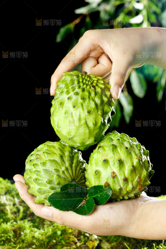 手里拿着牛奶释迦果