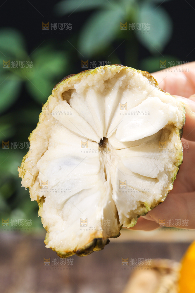 手里拿着释迦果