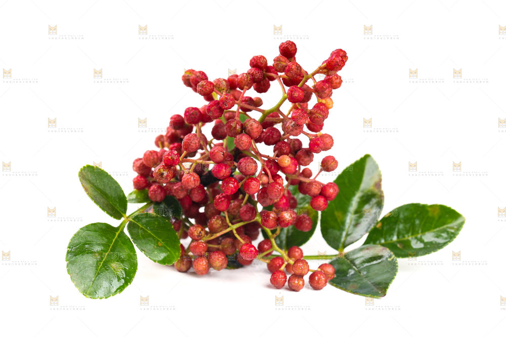 白底上的新鲜花椒