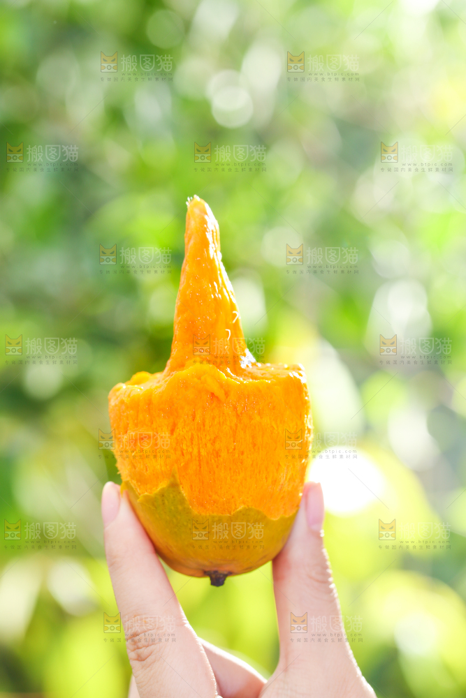 手拿剥皮的椰香芒