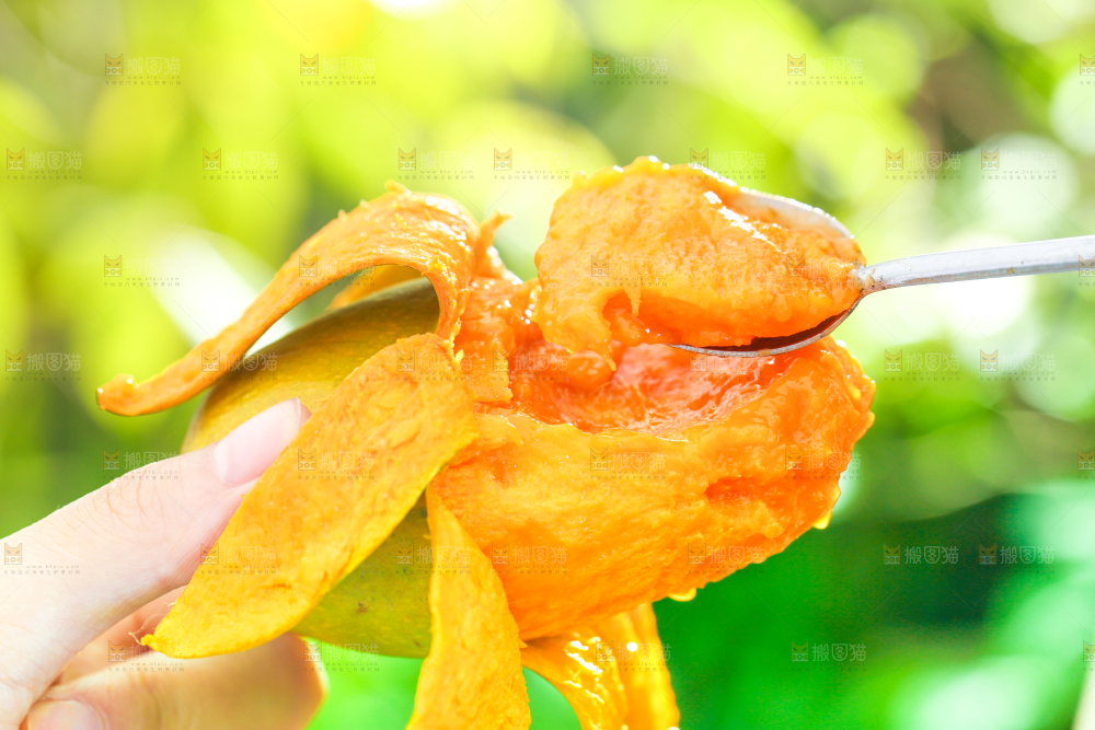 勺子里的椰香芒果肉