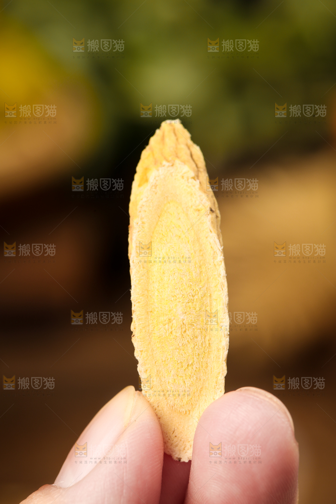 手里拿着黄芪