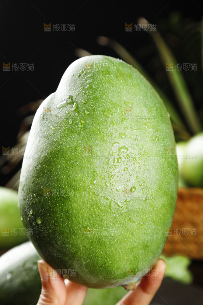 黑底上手拿一个凯特芒