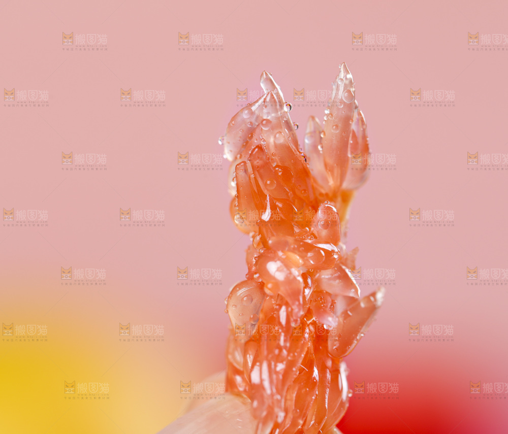 手拿剥皮的红心西柚果肉