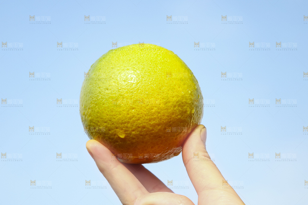 手拿秭归夏橙