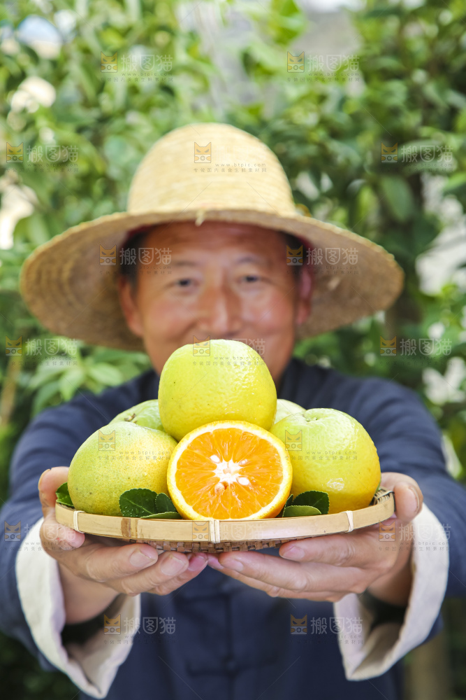 农民手拿一盘夏橙