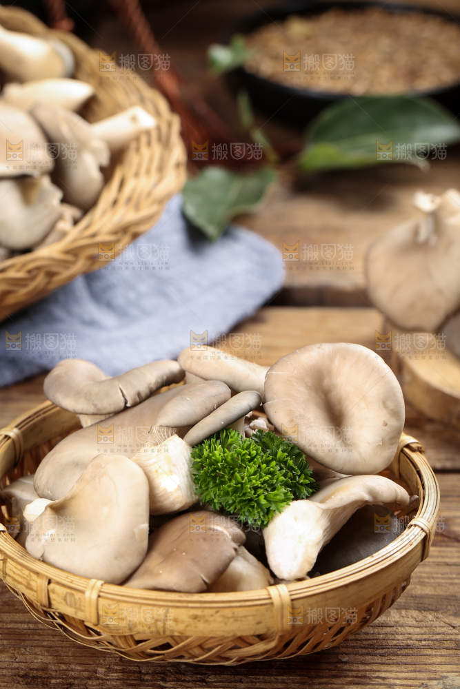 篮子里装着平菇