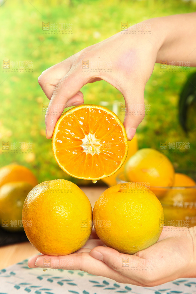 手拿着的秭归夏橙