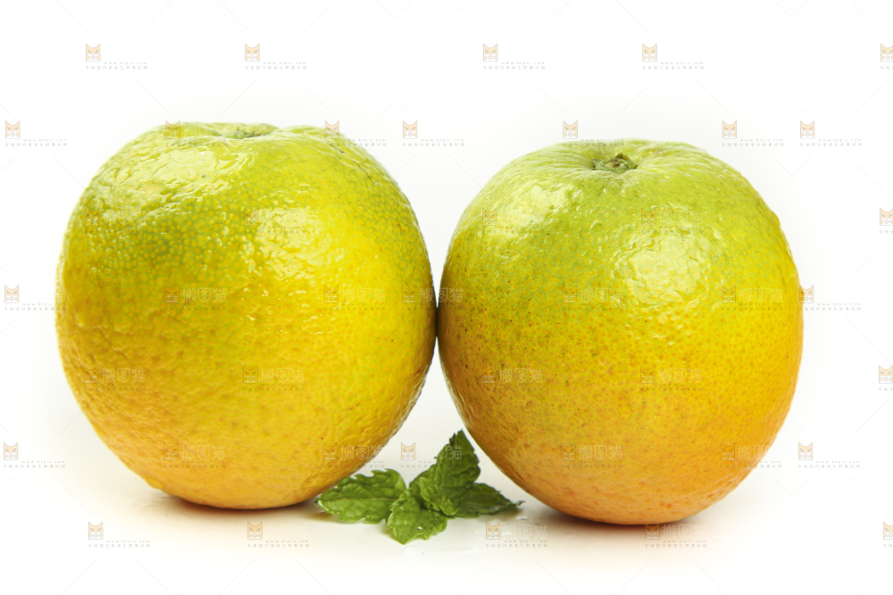 白底上的秭归夏橙