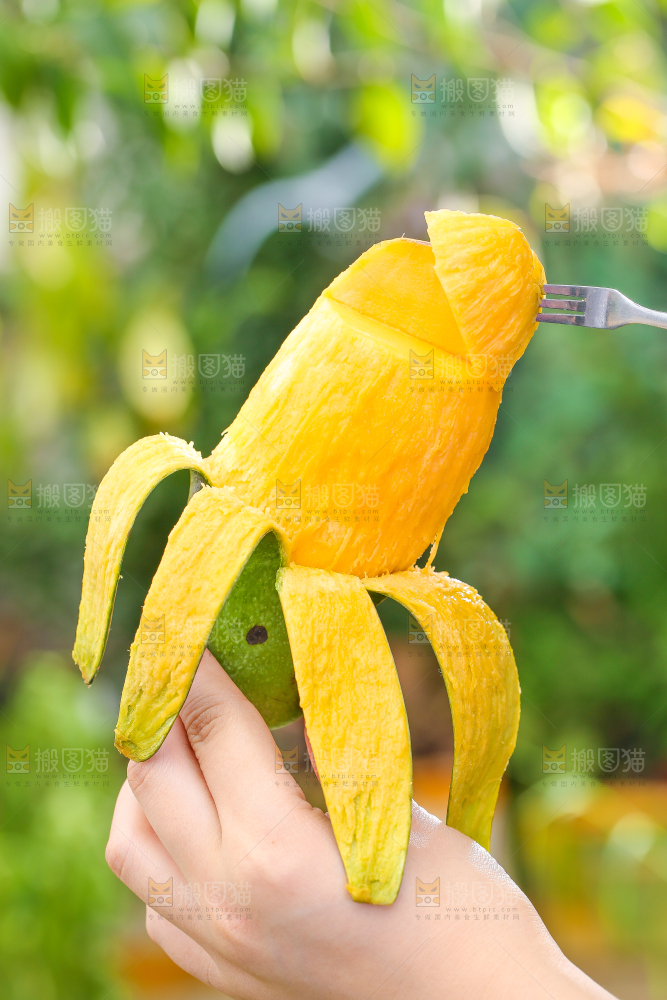 手拿剥皮的桂七芒