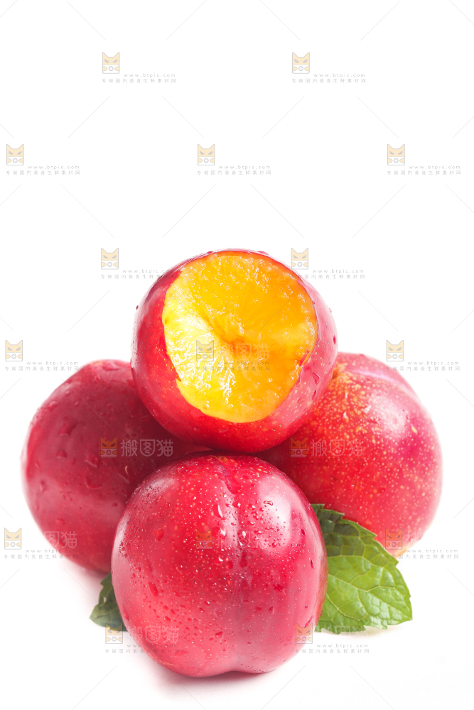 白底上的珍珠李